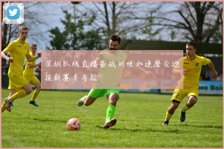 深圳队线直播备战训练加速磨合迎接新赛季考验