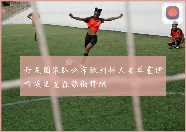 丹麦国家队公布欧洲杯大名单霍伊伦埃里克森领衔锋线