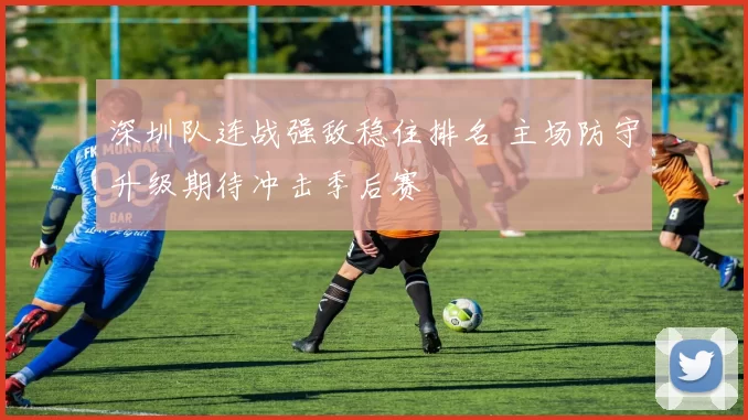 深圳队连战强敌稳住排名 主场防守升级期待冲击季后赛