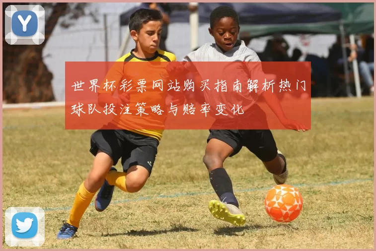 世界杯彩票网站购买指南解析热门球队投注策略与赔率变化