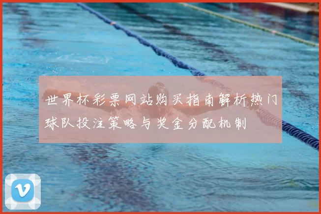 世界杯彩票网站购买指南解析热门球队投注策略与奖金分配机制