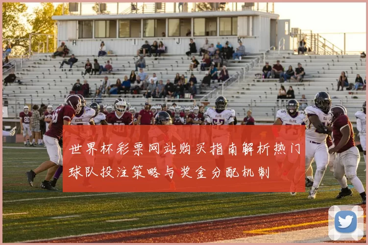 世界杯彩票网站购买指南解析热门球队投注策略与奖金分配机制