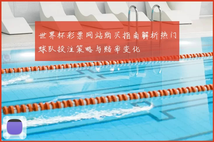 世界杯彩票网站购买指南解析热门球队投注策略与赔率变化