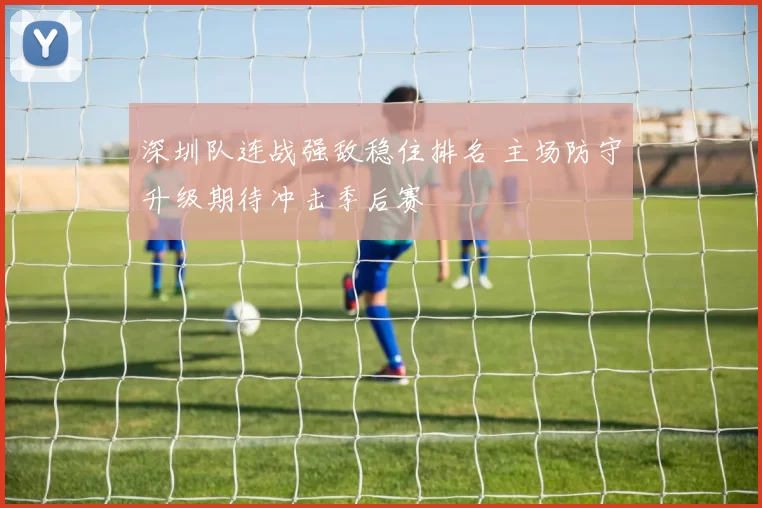 深圳队连战强敌稳住排名 主场防守升级期待冲击季后赛