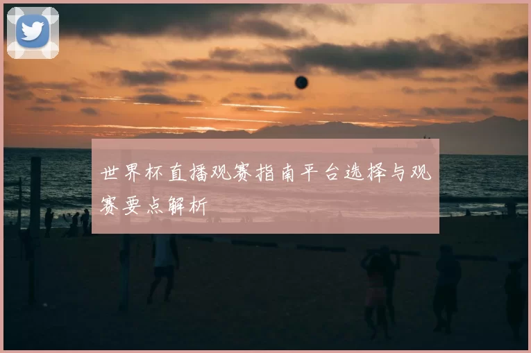世界杯直播观赛指南平台选择与观赛要点解析