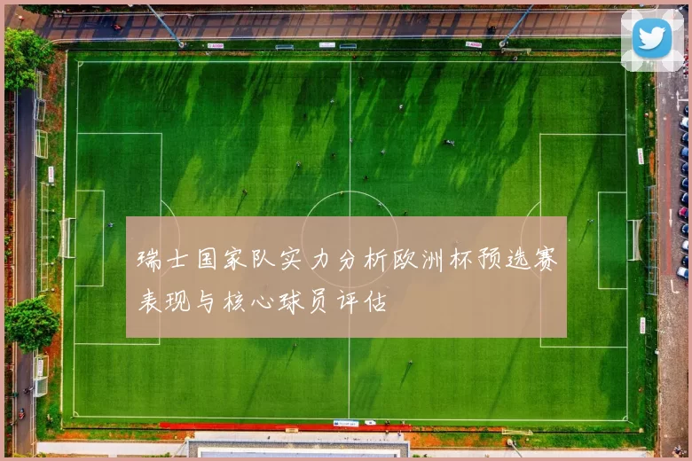 瑞士国家队实力分析欧洲杯预选赛表现与核心球员评估