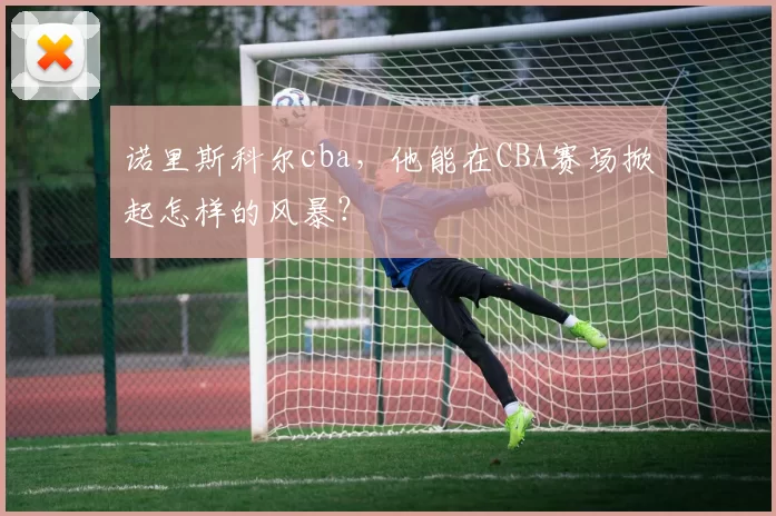 诺里斯科尔cba,他能在CBA赛场掀起怎样的风暴?