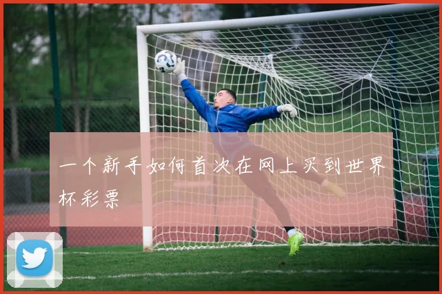 一个新手如何首次在网上买到世界杯彩票