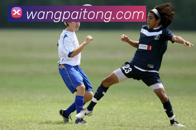 九游j9备用官网平台生态图