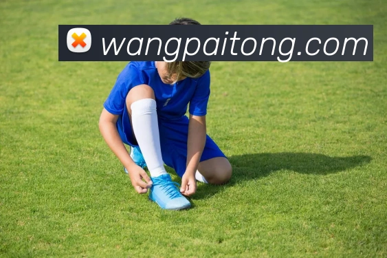赛事专题整合