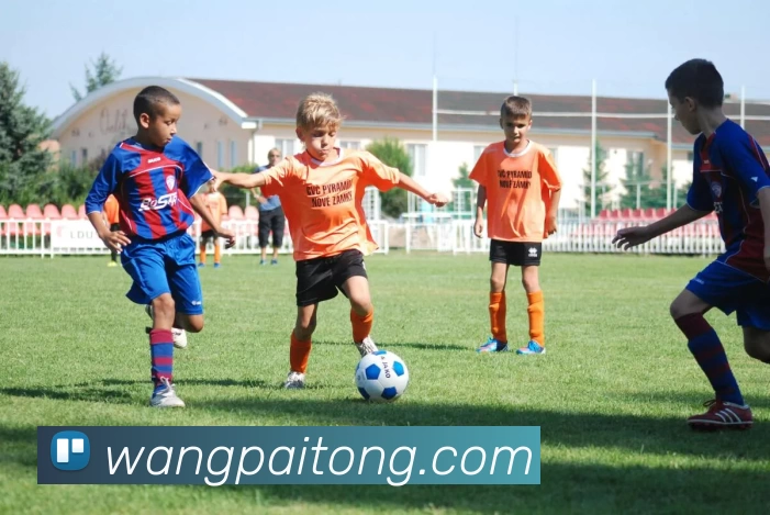 九游j9备用官网APP 封面图